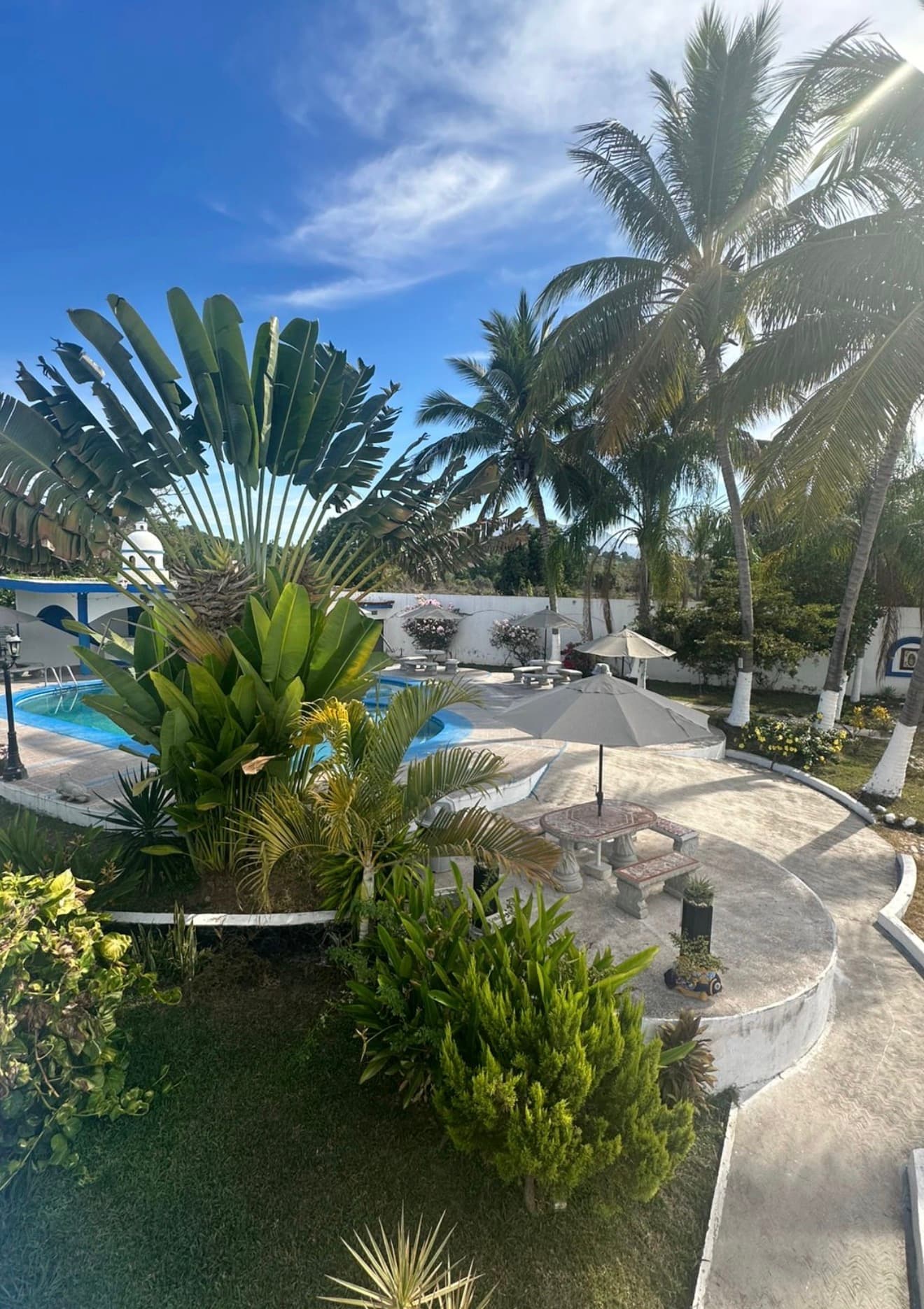 Alberca, jardines y palmeras de Hotel Paraíso Kora